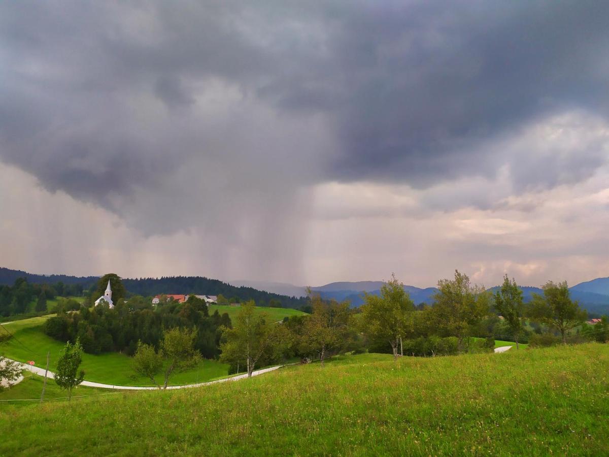 Tourist Farm Strle With Great Local Food Villa Cerknica Exterior photo