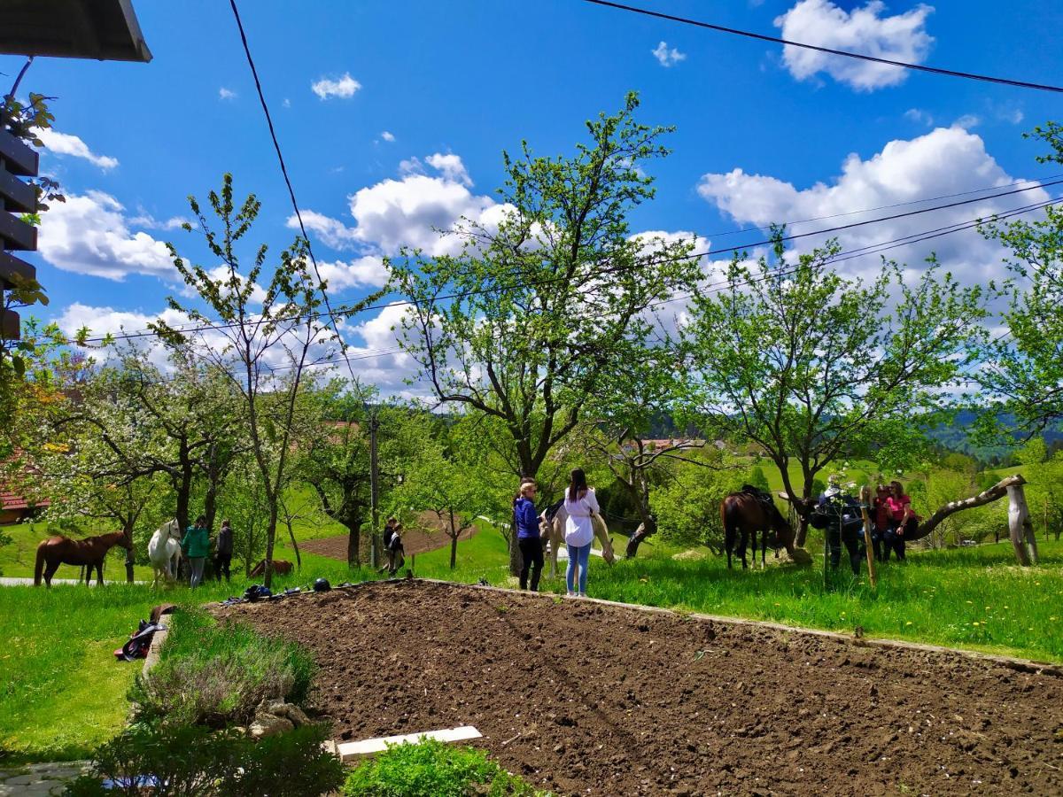 Tourist Farm Strle With Great Local Food Villa Cerknica Exterior photo